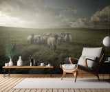 Sheep Poster och Canvastavla