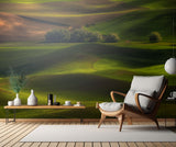 Spring in the Palouse Poster och Canvastavla