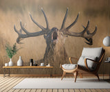 Ready to Rut Poster och Canvastavla