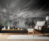 The sky, the dust and the Elephants Poster och Canvastavla