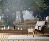 Mana Pools Secret Poster och Canvastavla
