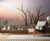 Fog in deadvlei Poster och Canvastavla