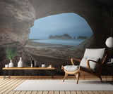 View from a Hollow Tree Poster och Canvastavla