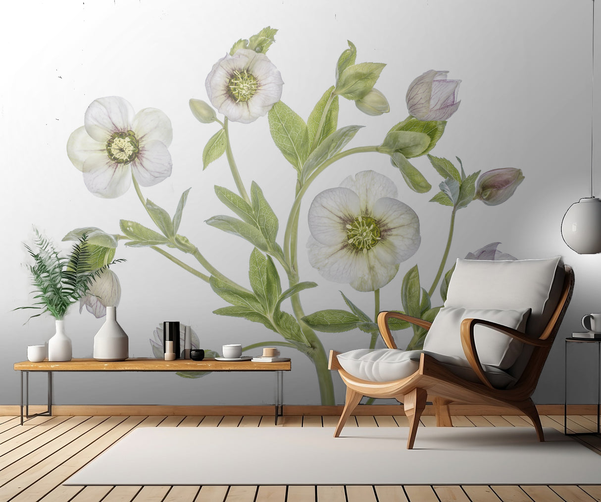 Hellebore Poster och Canvastavla
