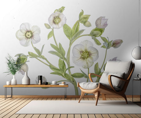 Hellebore Poster och Canvastavla