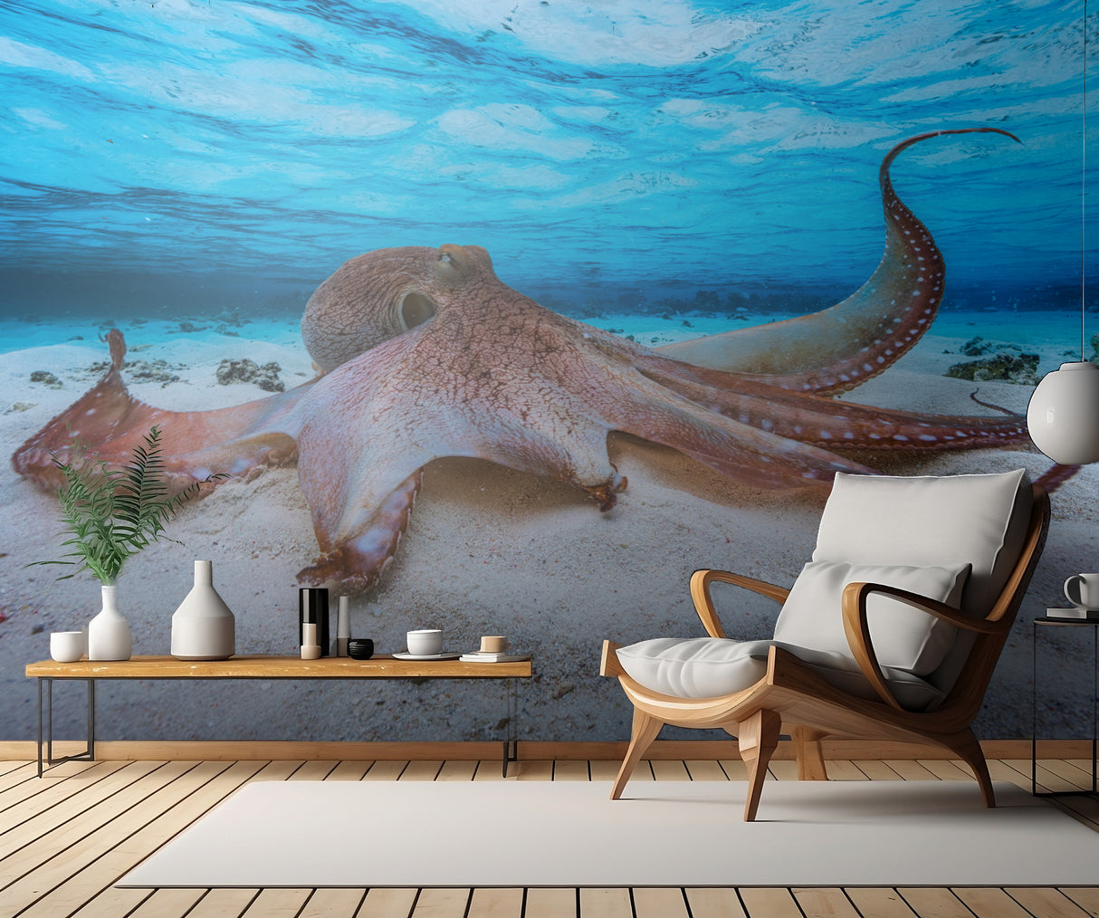 Octopus Poster och Canvastavla