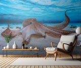Octopus Poster och Canvastavla
