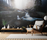 Forest stream - High Tatras Poster och Canvastavla
