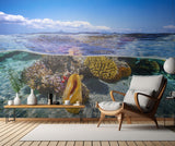 Lagoon life Poster och Canvastavla