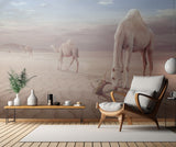 Camels Trip Poster och Canvastavla