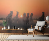 Sunset in Camargue Poster och Canvastavla