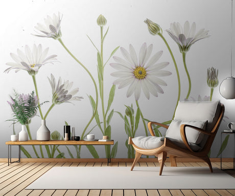 Cape Daisies Poster och Canvastavla