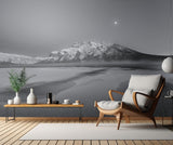 Cold moon Poster och Canvastavla
