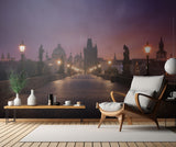 Saint Charles bridge, Prague Poster och Canvastavla