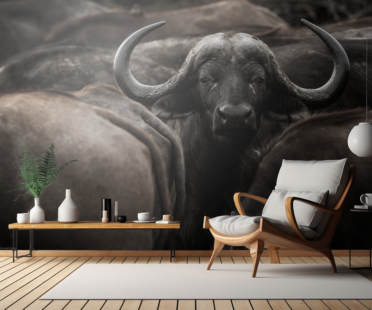 Eye contact Poster och Canvastavla