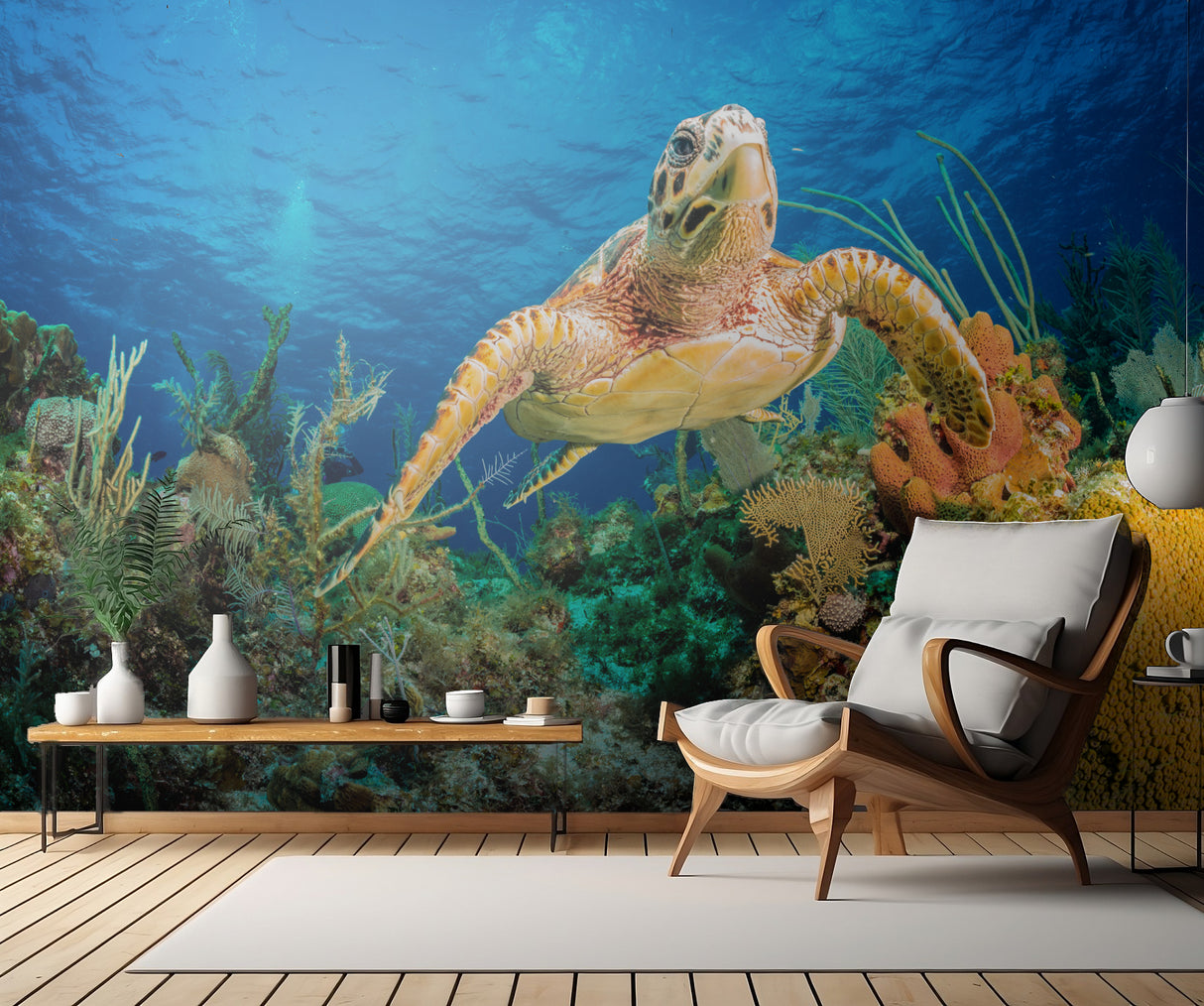 Hawksbill turtle swimming through Caribbean reef Poster och Canvastavla