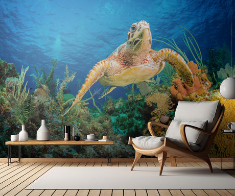 Hawksbill turtle swimming through Caribbean reef Poster och Canvastavla