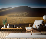 seed&amp;sand Poster och Canvastavla