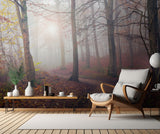Autumn Sun. Poster och Canvastavla