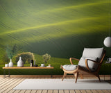 Moravian waves Poster och Canvastavla