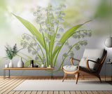 Lily of the valley Poster och Canvastavla