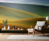 Spring fields Poster och Canvastavla