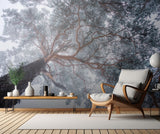 Winter tree lines Poster och Canvastavla