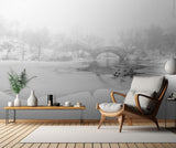 The first snow of central park Poster och Canvastavla