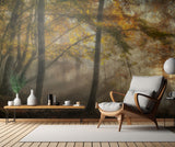 The lights of the forest Poster och Canvastavla
