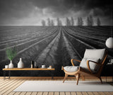 Flanders Fields III Poster och Canvastavla
