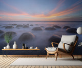 Sunset at Bowling Ball Beach Poster och Canvastavla