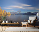 Autumn in Lake Wanaka Poster och Canvastavla