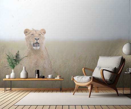 Young Lion Poster och Canvastavla