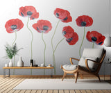 Ladybird Poppies Poster och Canvastavla