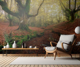Autummn in  Otzarreta Poster och Canvastavla