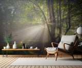 The morning light Poster och Canvastavla