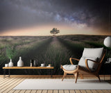Lavender way Poster och Canvastavla