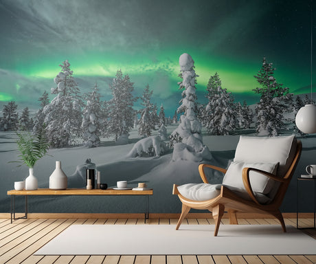 polar night Poster och Canvastavla