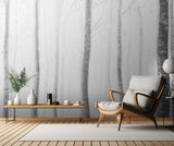 forest Poster och Canvastavla