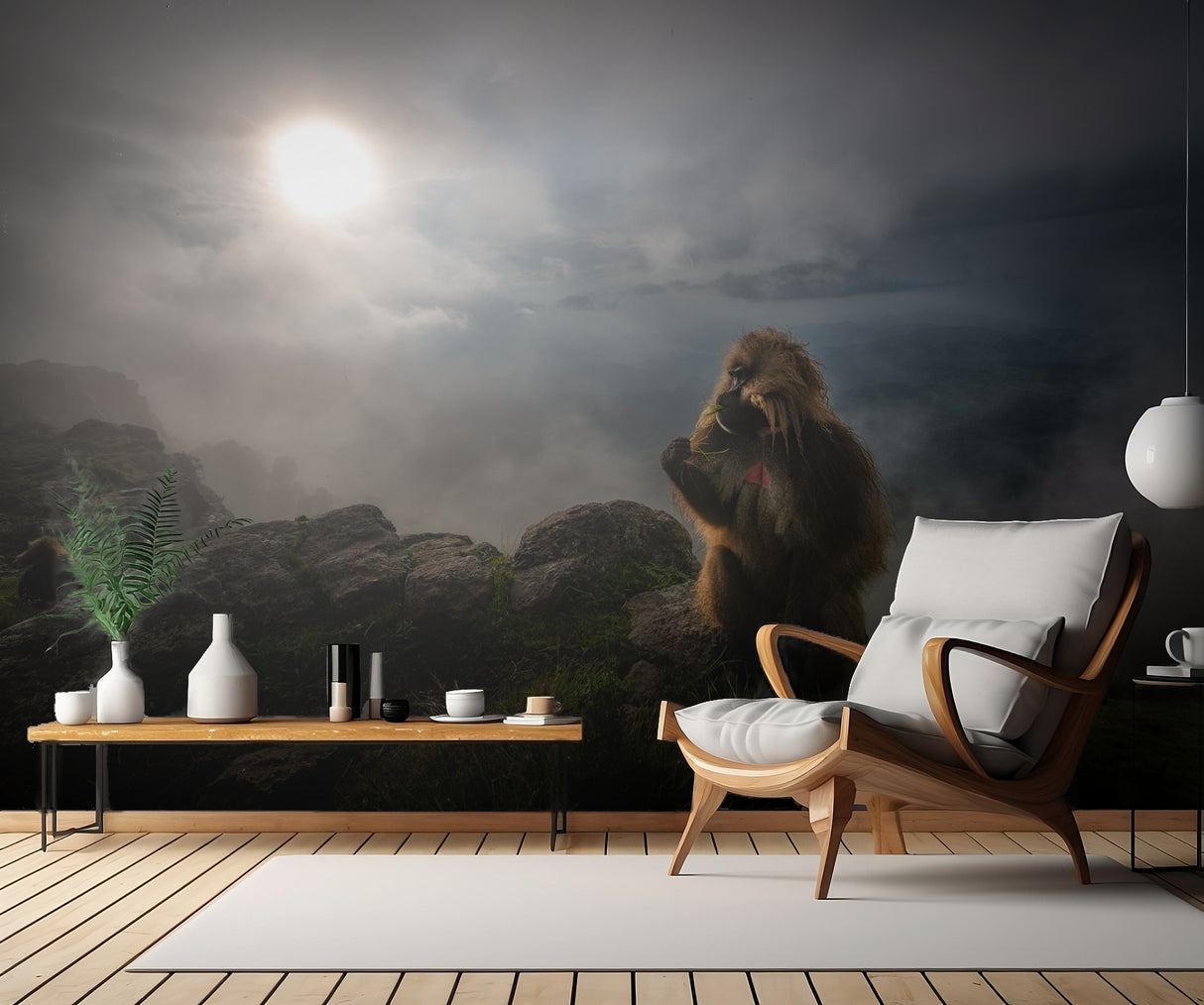 Gelada Baboons Poster och Canvastavla