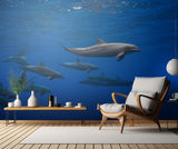 Dolphins Poster och Canvastavla