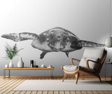 White and turtle Poster och Canvastavla