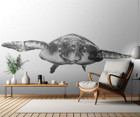 White and turtle Poster och Canvastavla