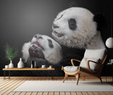 Pandas Poster och Canvastavla