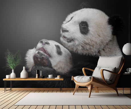 Pandas Poster och Canvastavla
