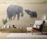 Mother and baby elephants Poster och Canvastavla