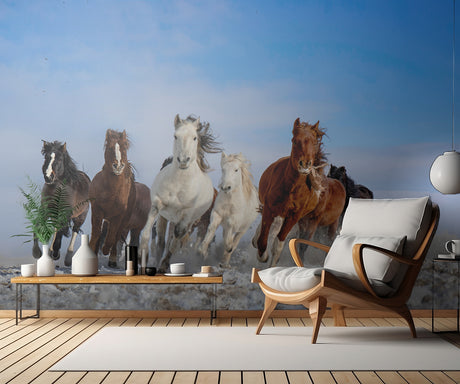 Mongolia Horses Poster och Canvastavla