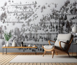 winter trees Poster och Canvastavla