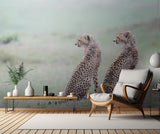 Cheetah brothers Poster och Canvastavla