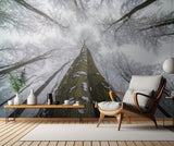 Looking up Poster och Canvastavla